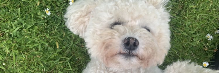 millie_walkerr's profile banner image