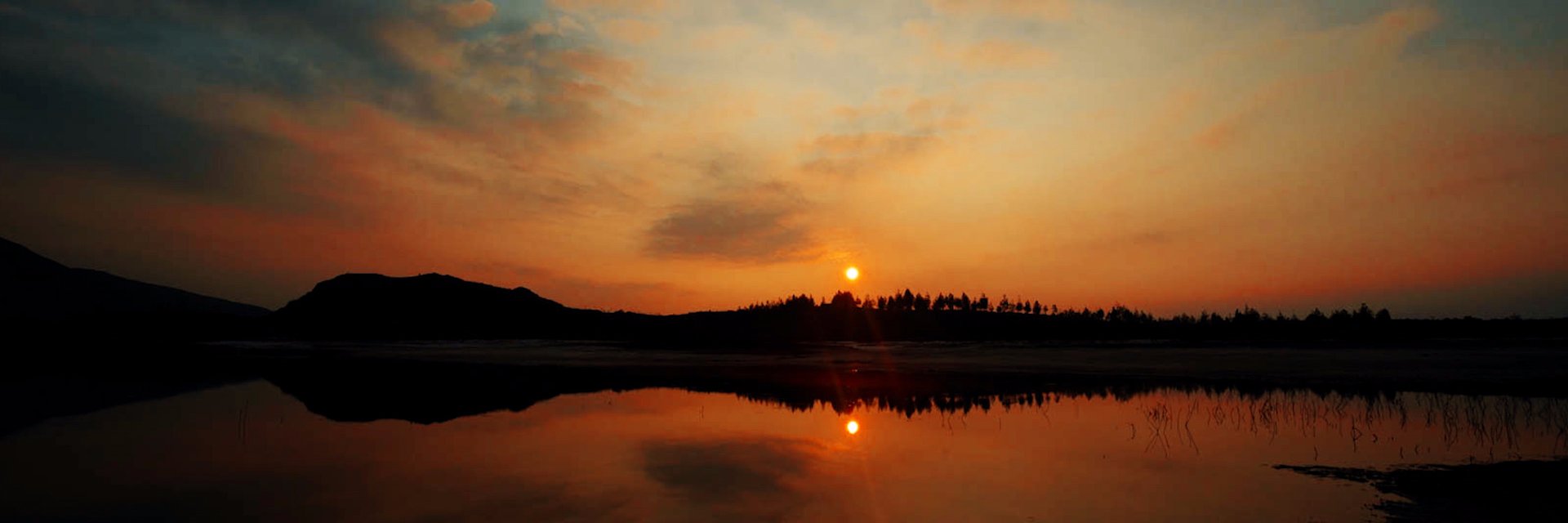 elviscent73's profile banner image