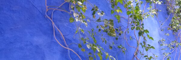 vinyetp Profile Banner