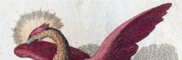 meiskenny's profile banner image