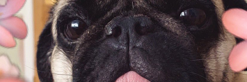 Amber Smith ⚡️ banner