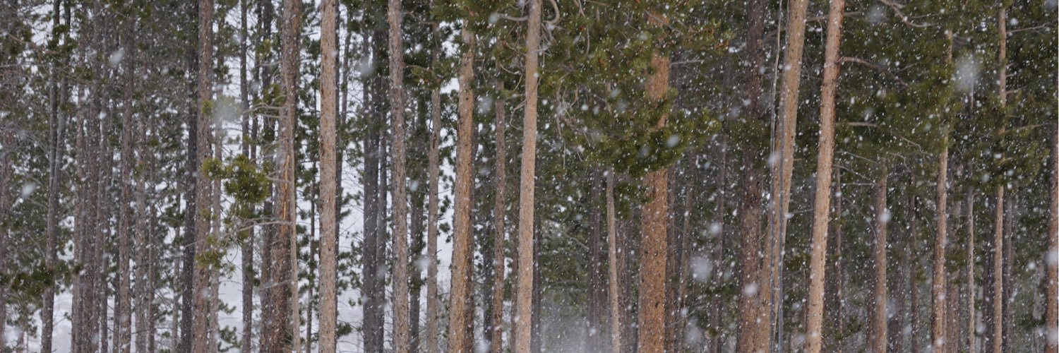JessicaNerad's profile banner image