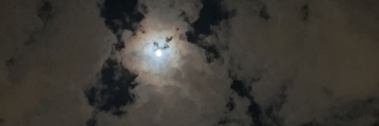 D. banner