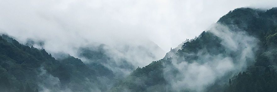 third_holidays's profile banner image