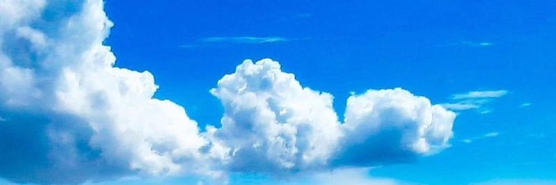 мση¢нє вєη єℓαιzєя ツ banner