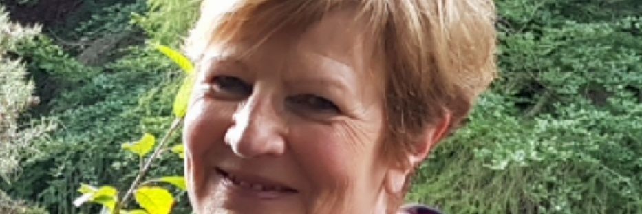 LynneDevine8's profile banner image