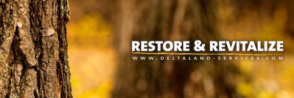 deltalands Profile Banner