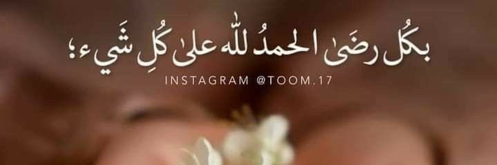 هيفاء علي banner