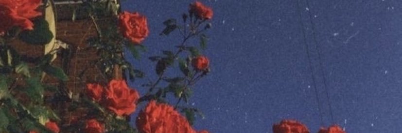 Lover16Spirit's profile banner image