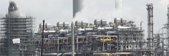 Alvaro Flores banner