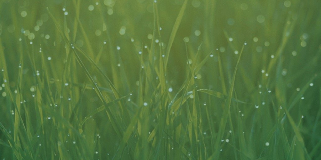 vanessakgp's profile banner image
