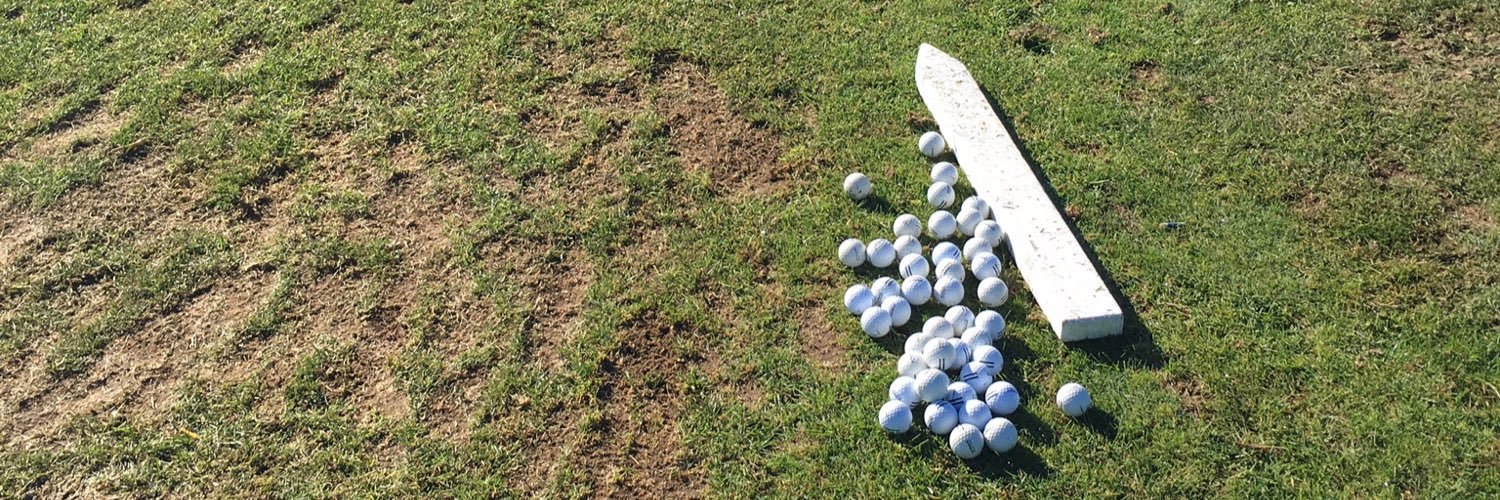 EGAvengersgolf banner