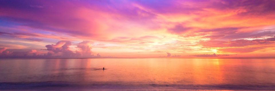 louisestead's profile banner image