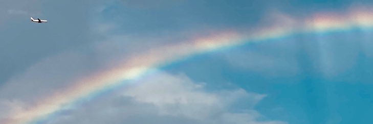 amn8978's profile banner image