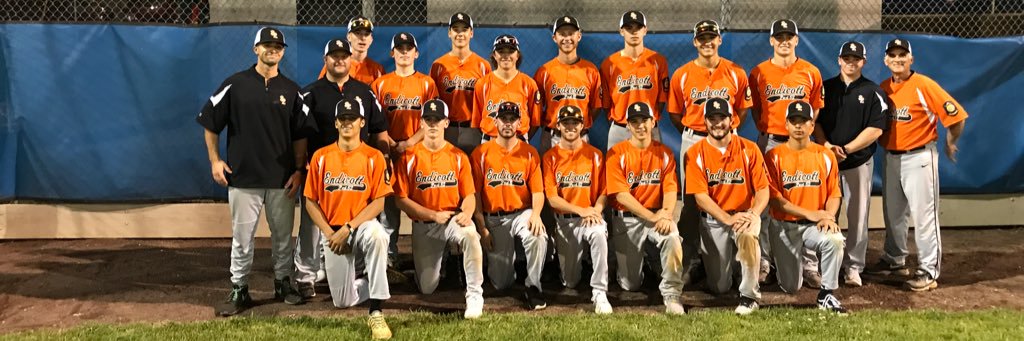Endicott Post 82 Baseball banner