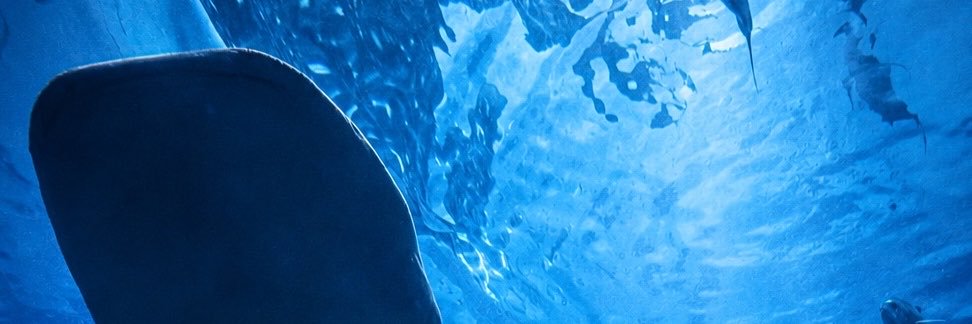 AssTranslate's profile banner image
