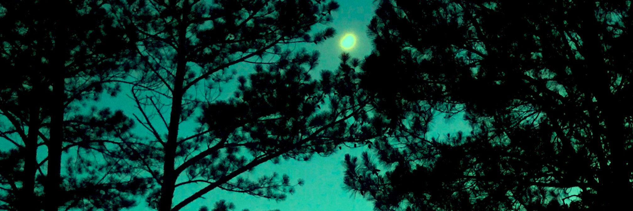 Dark ReviewBrah banner