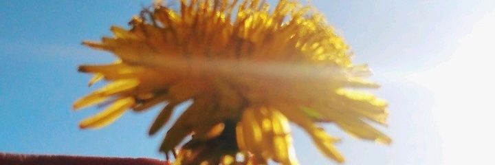 dudaolivrau's profile banner image