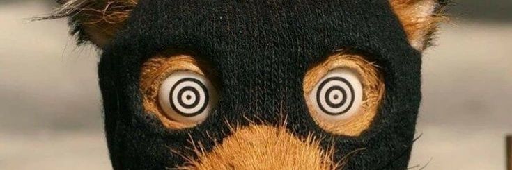 cammimi_'s profile banner image