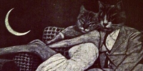 davidtsovaaaa's profile banner image