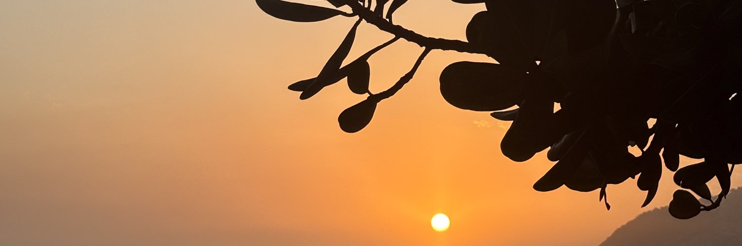 colduaplay's profile banner image