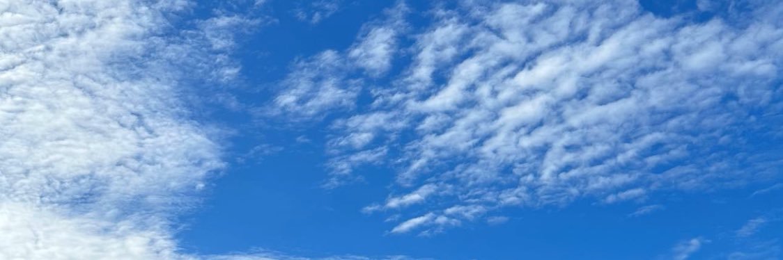 nanau 🐝 banner