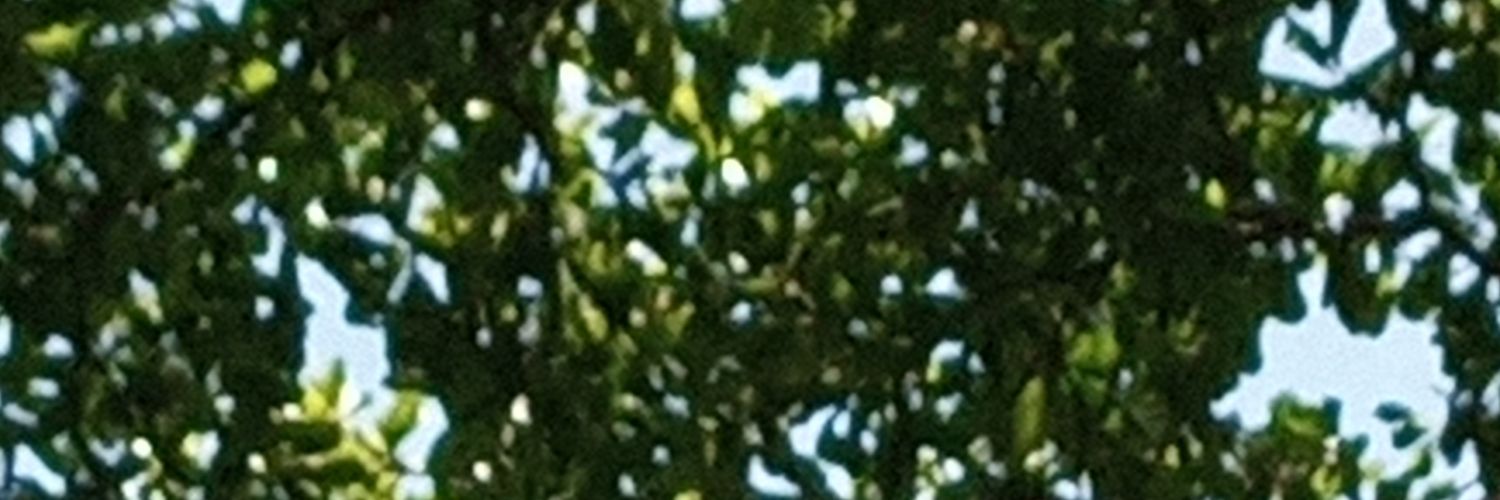Eve Apondi banner