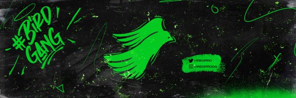 Vireopro Profile Banner