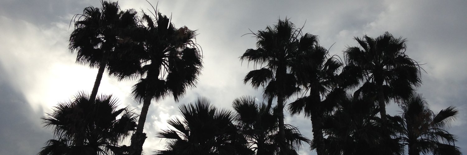 Lauren Harrison banner