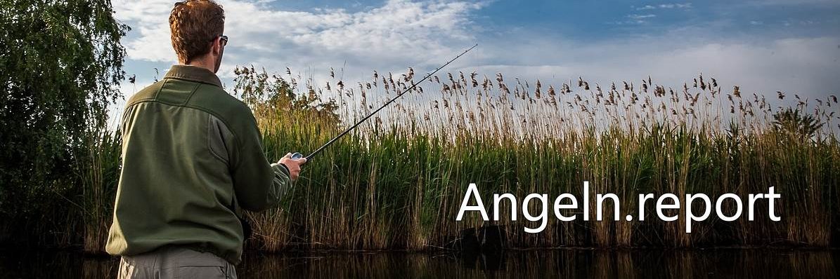 AngelnReport's profile banner image
