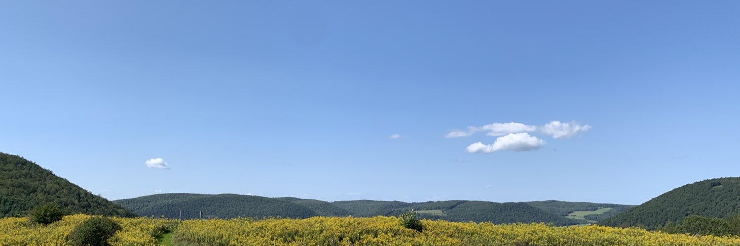 Alison Cimmet banner