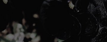 Twitter banner for @rykqi