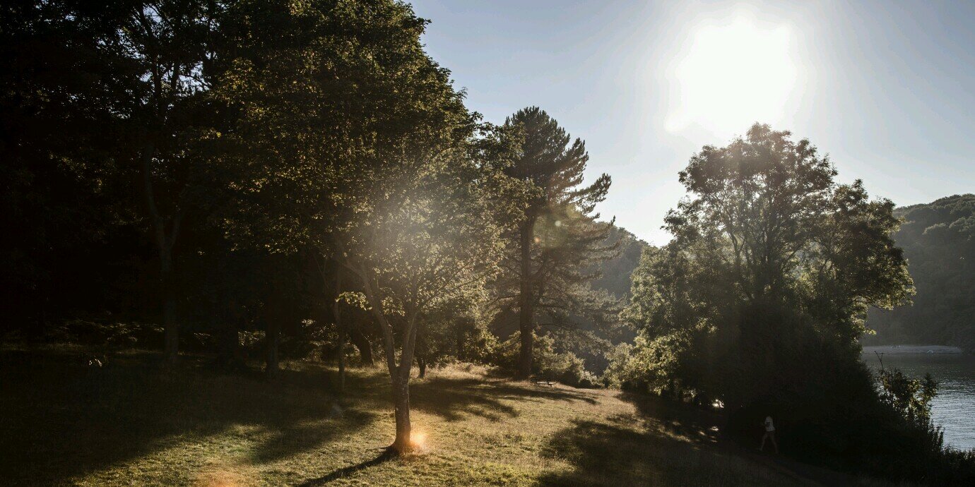 CNCPhotography's profile banner image