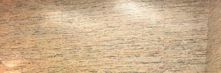 HRajshri's profile banner image