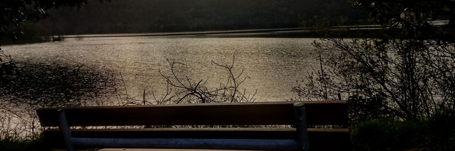 bitkinsefa's profile banner image