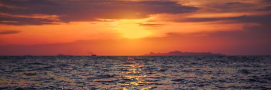 i_romaskaa's profile banner image