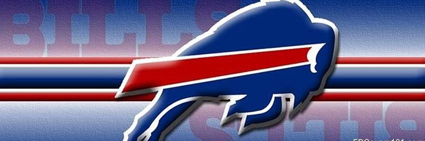 Vinny4Sum 🦬❤️💙💛🩵🏈🏒 banner