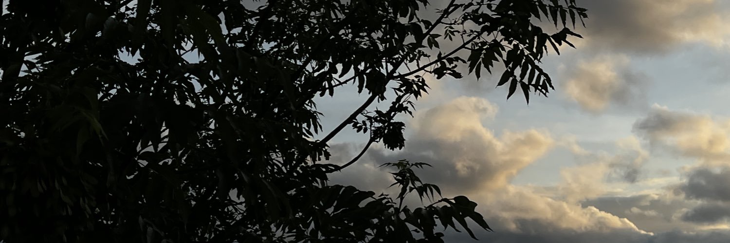 minisukiii's profile banner image
