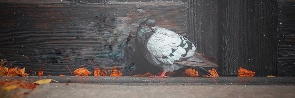 h_sms08 Profile Banner