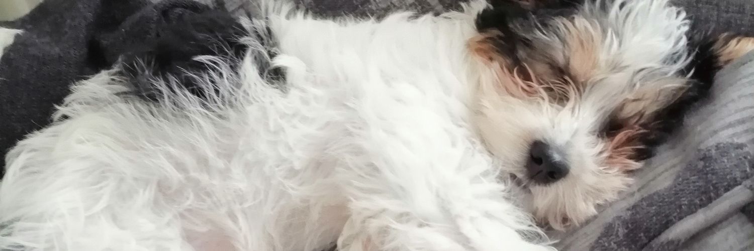 JemsBaker's profile banner image