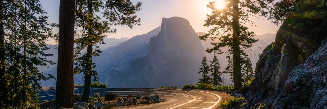 Leo Marlow 🌿 banner