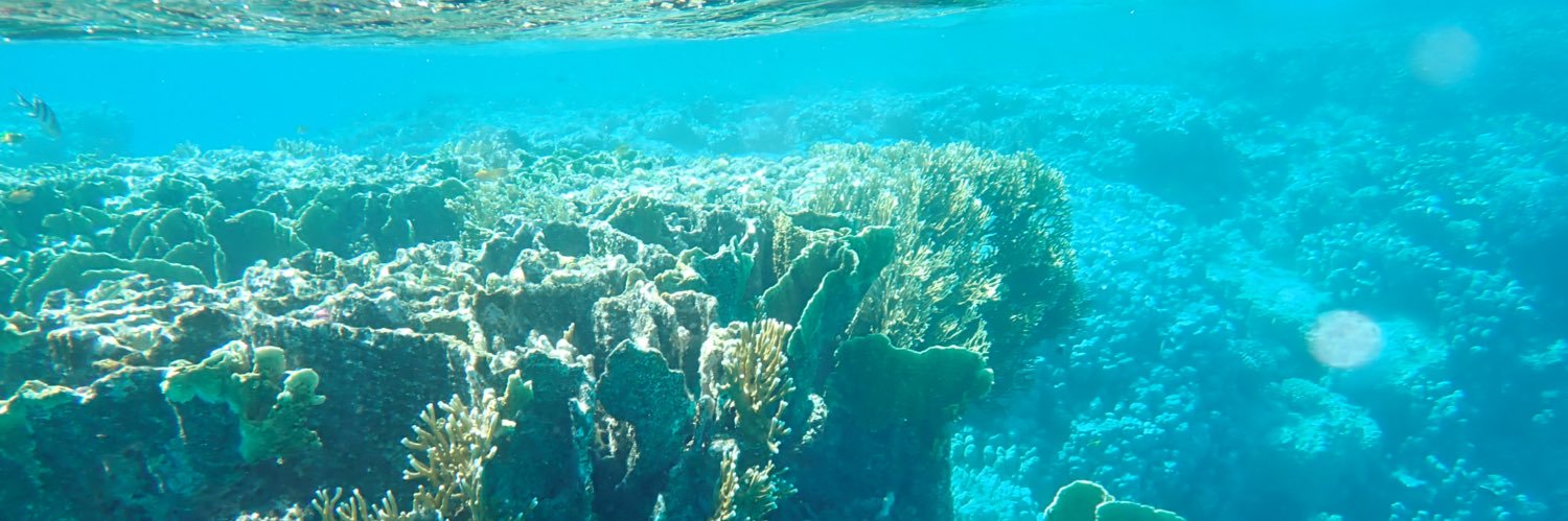 Prof Mark A Gillan banner