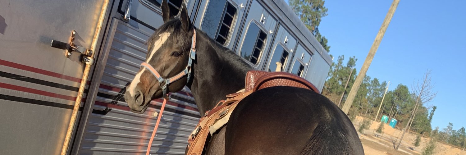 jacklynbolan's profile banner image