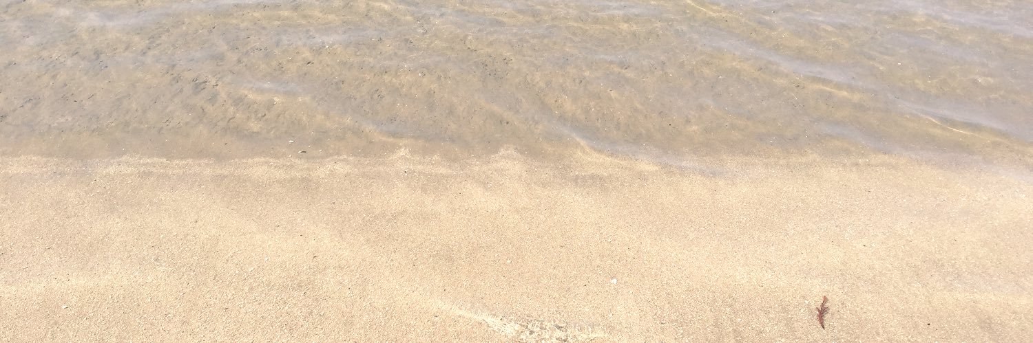 0315Yu's profile banner image