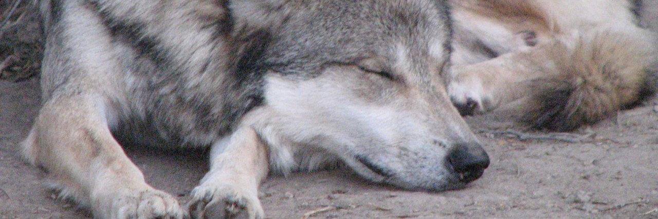JWuffy's profile banner image