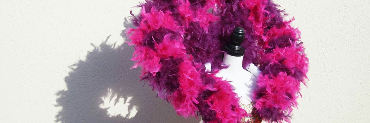 Tout_pour_le_show banner