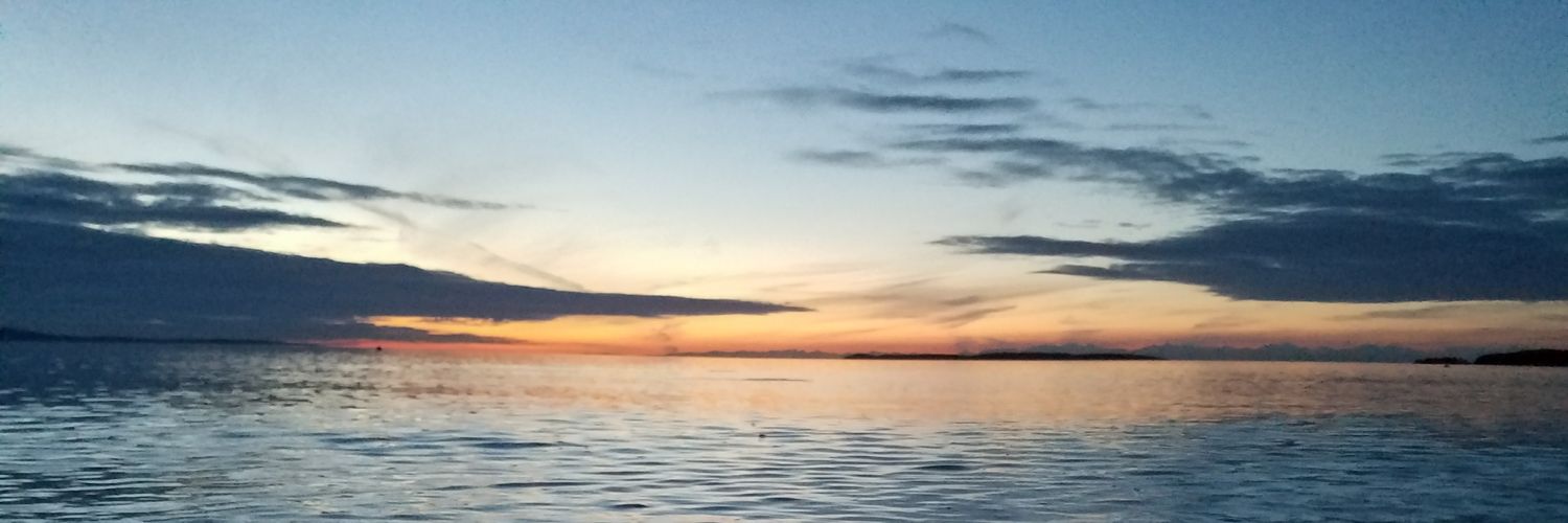 Travtothefuture banner