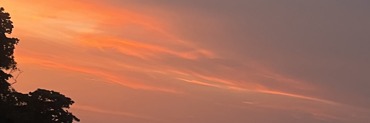 _EmpressD's profile banner image