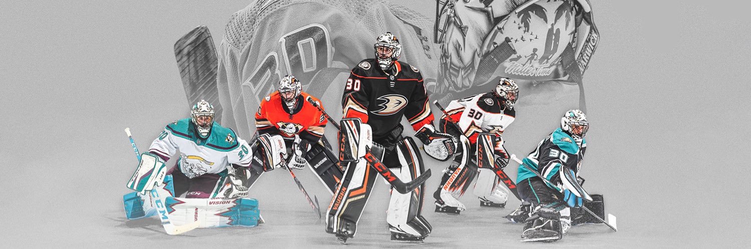 Anaheim Enthusiast banner