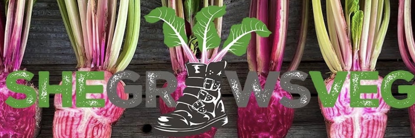 Kate Cotterill banner